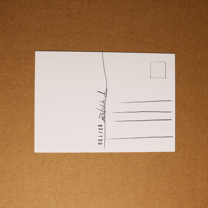 Volane Sammelkarte 06/24 Waldis Spinner limitierte Din A6 Postkarte - ButtwichSammelkarteLimitiertPostkarteSammelkarte