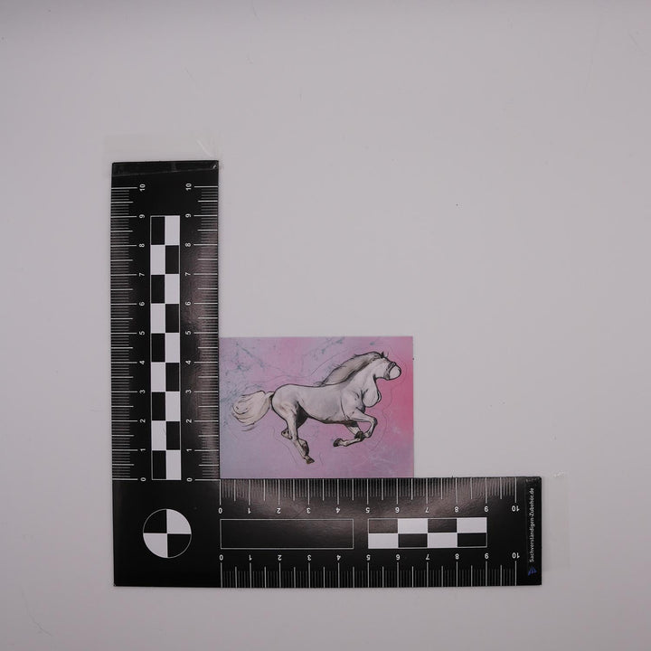Penispferd Freiform Sticker | 2er Pack - ButtwichSticker